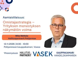 Omistajastrategia Hallituspartnerit