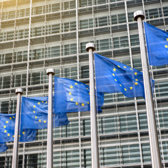 EU flag 724 px