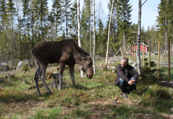 mervi ja markku pieni