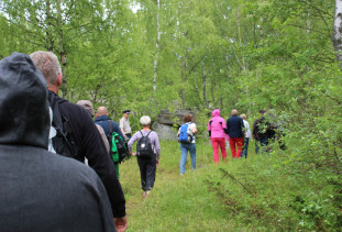 Luontopolku