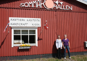 Sommaröhallen, Södra Vallgrund