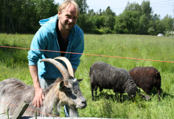 Aava Kertun kotitila
