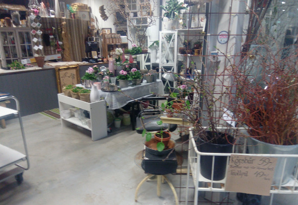 Ecoflora www