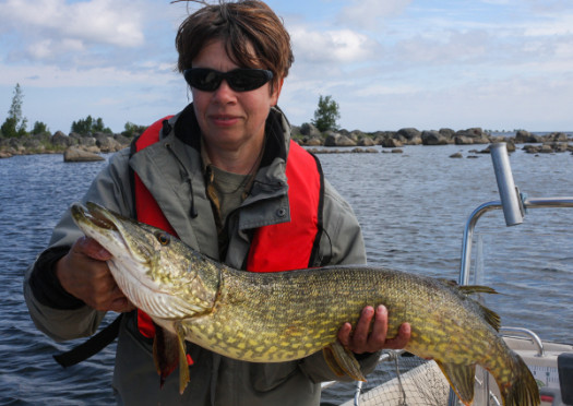 Fishing with guide web