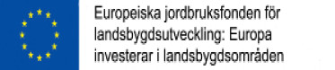 lippu ja tunnuslause svenska 300px