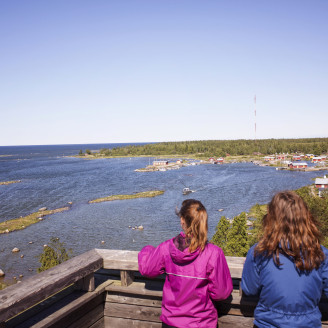 Svedjehamn8 KatjaLosonen 2014