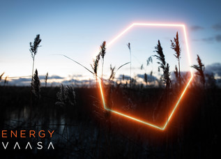 EnergyVasa 13 2020