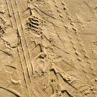alexander schimmeck CBn7EPLJ9V0 unsplash